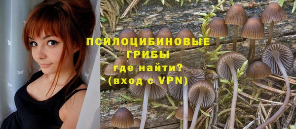 ALPHA PVP Алексеевка