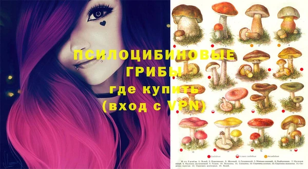 ешки Алзамай