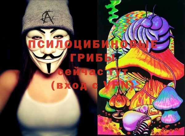 ALPHA PVP Алексеевка
